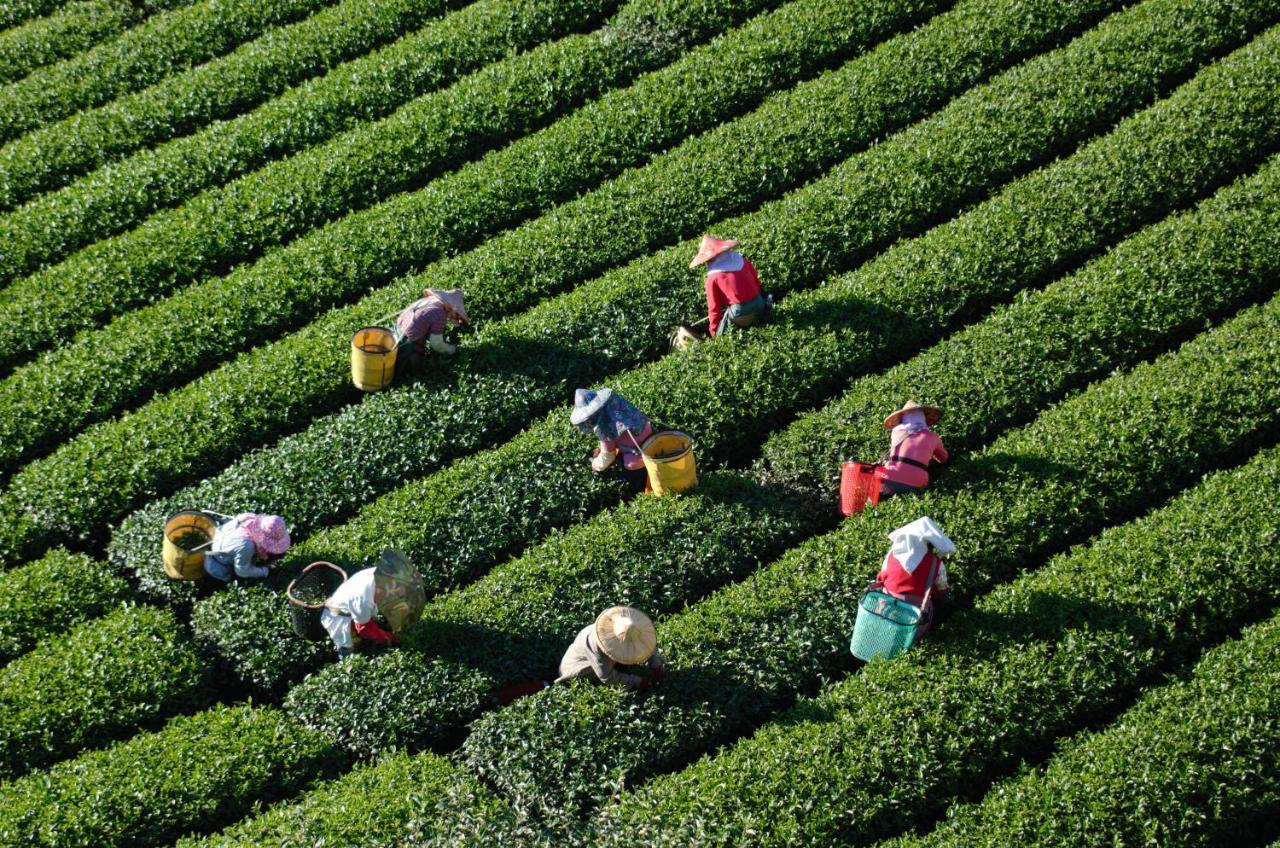 Sheng-Le Farm B&B Fanlu エクステリア 写真